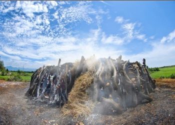 Tổng quan về gốm bàu trúc