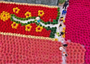 Làng sản xuất Quảng Phú Cầu lên sóng truyền hình Bỉ