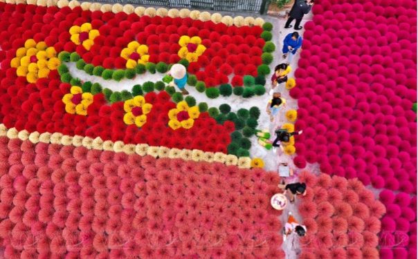 Làng sản xuất Quảng Phú Cầu lên sóng truyền hình Bỉ